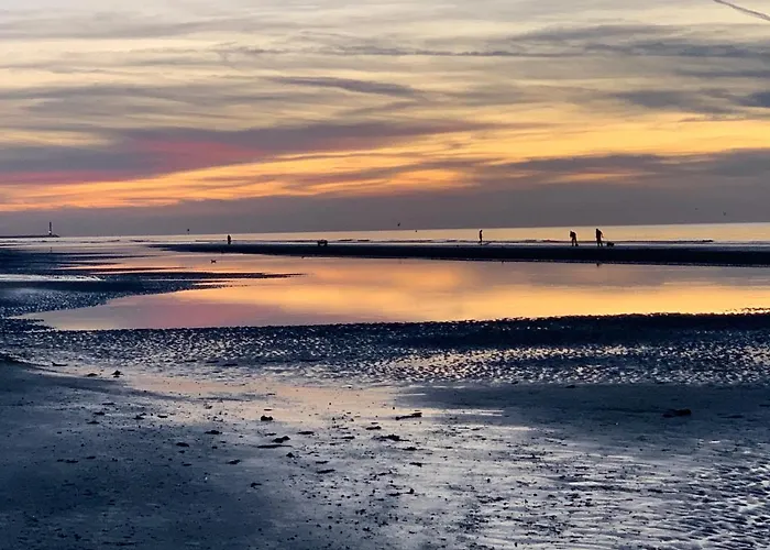 Feriehus Huisjes Aan Zee